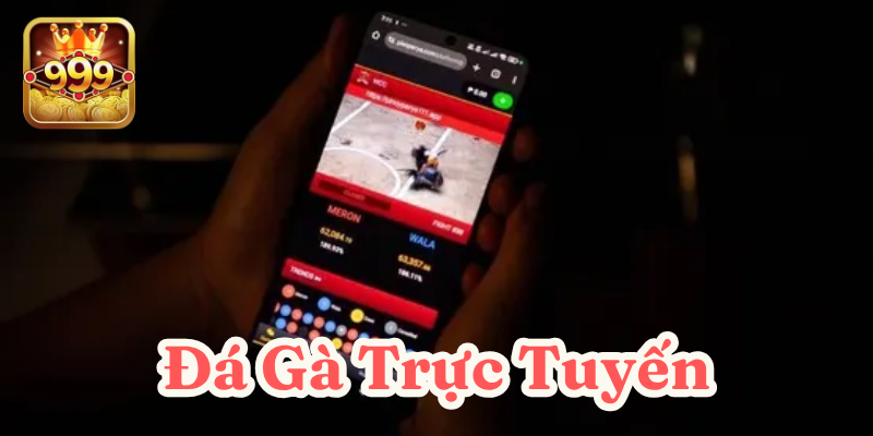 Đá Gà Trực Tuyến 2025: 4 bí quyết chơi thắng lớn mỗi ngày